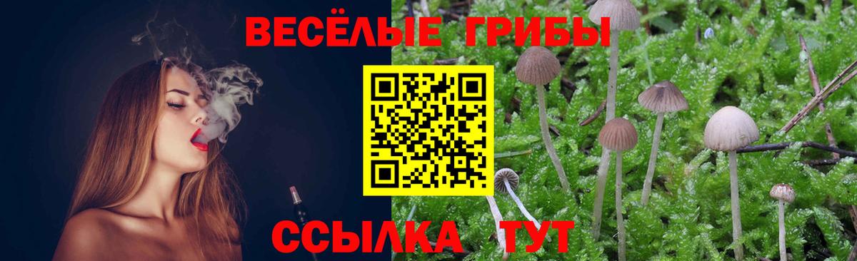 Псилоцибиновые грибы MAGIC MUSHROOMS  Вход с VPN  Псилоцибиновые грибы прущие грибы  Чистополь 